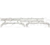 Guarnizione, Coppa olio ELRING 200.081 per MERCEDES-BENZ NG 12.763 1973-1981
