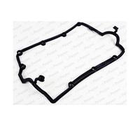 Guarnizione Copritestata Payen JM7032 per VW