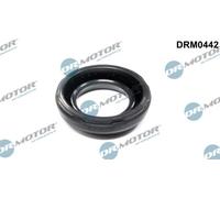 Guarnizione, Copritestata per SUBARU FORESTER IMPREZA LEGACY