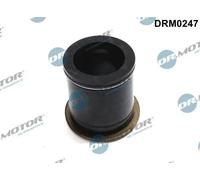 Guarnizione corpo iniettore Condotto carburante DRM0247 Dr.Motor Automotive