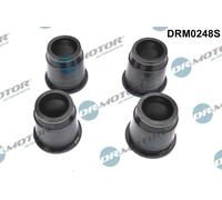 DR.MOTOR AUTOMOTIVE Guarnizione, Copritestata