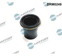 Guarnizione corpo iniettore Condotto carburante DRM0249 Dr.Motor Automotive