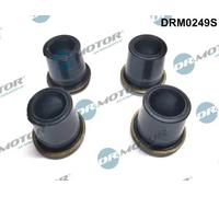 DR.MOTOR AUTOMOTIVE DRM0249S Kit guarnizioni, Iniettore