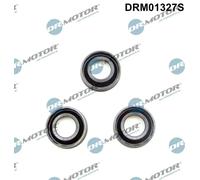 Guarnizione corpo iniettore DRM01327S Dr.Motor Automotive per AUDI SEAT SKODA VW