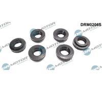 Guarnizione corpo iniettore DRM0206S Dr.Motor Automotive per AUDI VW SKODA