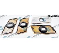 4x DR.MOTOR AUTOMOTIVE Anello tenuta Portainiettore DRM0540S per VW TIGUAN (5N)