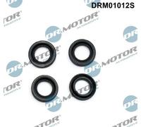 DR.MOTOR AUTOMOTIVE Guarnizione Portapolverizzatore DRM01012S Iniettore