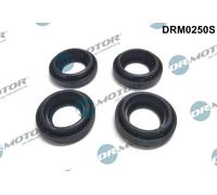 DR.MOTOR AUTOMOTIVE Kit guarnizioni, Iniettore