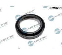 Guarnizione corpo iniettore Iniettore DRM0261 Dr.Motor Automotive per MAZDA
