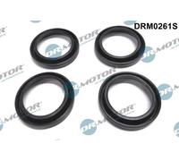 Guarnizione corpo iniettore Iniettore DRM0261S Dr.Motor Automotive per MAZDA