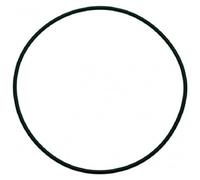 GUARNIZIONE CORPO POMPA AP Ø 81x2 mm 3122287