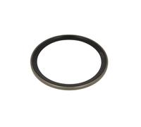 Guarnizione del cambio manuale per MAN E2000, HOCL, LION´S COACH, SL II, SÜ