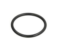 Guarnizione del cambio ZF 0634306238ZF