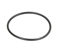 Guarnizione del cambio ZF 0634306247ZF