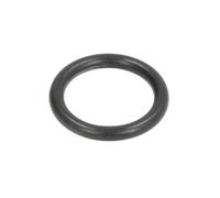 Guarnizione del cambio ZF 0634313728ZF