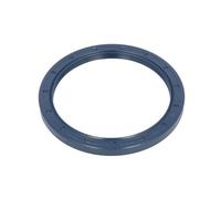 Guarnizione del cambio ZF 0734300482ZF