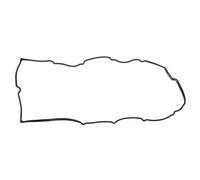 Guarnizione del coprivalvola ELRING 044.150, destro