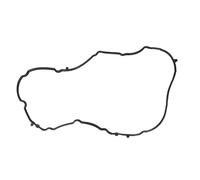 Guarnizione del coprivalvola REINZ 71-10359-00 sinistro