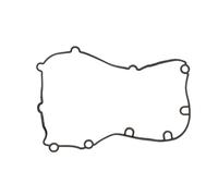 Guarnizione del coprivalvola REINZ 71-33352-00