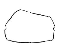 Guarnizione del coprivalvola REINZ 71-35115-00