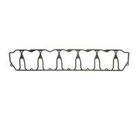 Guarnizione del coprivalvola REINZ 71-37036-00