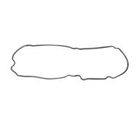 Guarnizione del coprivalvola REINZ 71-38097-00