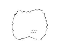 REINZ 71-53199-00 Guarnizione, Copritestata