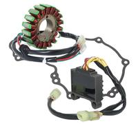 Guarnizione del raddrizzatore bobina statore compatibile con Fe250 Fe350 350S FE450 Fe501 S Magneto OEM Sostituzione 79239104100 79611034000
