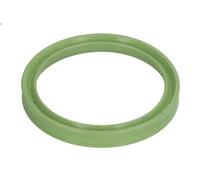 Guarnizione del turbocompressore AJUSA 01493200 CLASSE X (470) 2.3 2017-202