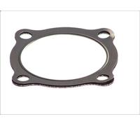 Guarnizione del turbocompressore ELRING 891.207 per MAN SM 6.871 1987-1995