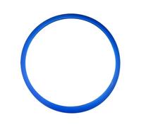 Guarnizione della porta dell'autoclave, guarnizione della camera for sterilizzatore da 18L e 23L, parte di ricambio