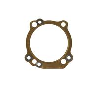 Guarnizione della testa ATHENA S410110001040