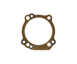 Guarnizione della testa ATHENA S410110001040