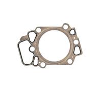 Elring Guarnizione testata 492.800 – metallo-elastomero per Audi