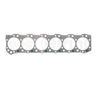 Guarnizione della testa del cilindro ELRING 538.980