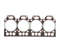 ENGITECH ENT010116 Guarnizione testata