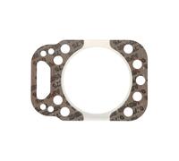 REINZ 61-20174-30 Guarnizione testata