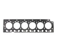 Guarnizione della testa del cilindro REINZ 61-37690-40