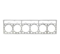 Guarnizione della testa del cilindro REINZ 61-42410-00