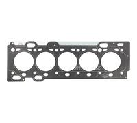 REINZ 61-42425-00 Guarnizione testata