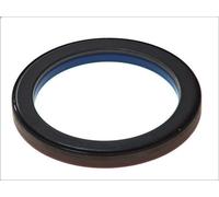 Elring Paraolio albero a gomiti 381.260 per IRISBUS Axer 12m/12,8m