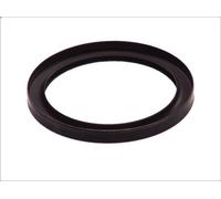 Guarnizione dell'albero, albero motore ELRING 445.600 OH 4.801 1999-2012