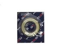 Guarnizione dell'albero, albero motore RMS RMS 10 066 6