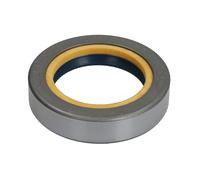 Guarnizione dell'assale posteriore CARRARO 116723-CR