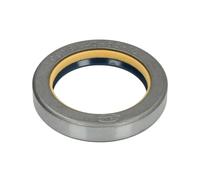 Guarnizione dell'assale posteriore CARRARO 118675-CR