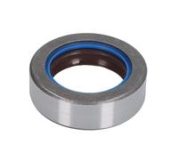 Guarnizione dell'assale posteriore CARRARO 134363-CR
