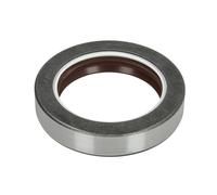 Guarnizione dell'assale posteriore CARRARO 139420-CR