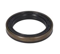 Guarnizione dell'assale posteriore ZF 0734309758ZF