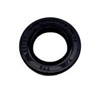 Guarnizione Dell'Asse Per Pompa A Ingranaggi Galtech 2SPA