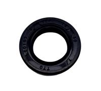 Guarnizione Dell'Asse Per Pompa A Ingranaggi Galtech 2SPA 3 Bar